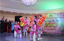 Người Việt ở nước ngoài tổ chức Tết Cộng đồng